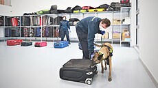 Heřmanice, 2. 12. 2021: Nová hala pro výcvik psů celní správy za 45 milionů