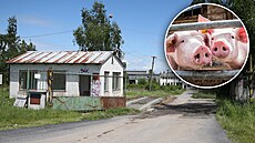 Velkokapacitní výkrmna prasat má vzniknout na míst� chátrajícího zem�d�lského...
