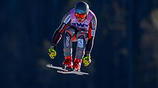 Norský ly�a�  Aleksander Aamodt Kilde na trati sjezdu v Beaver Creeku.