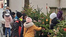Prostory u Galerie m�sta P�erova zdobí hned deset váno�ních strome�k�, zdobili...