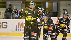 Litvínovský útoník Pemysl Svoboda slaví gól v utkání proti Vítkovicím.