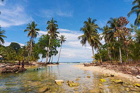 Biak je ostrov o rozloze 1 746 km&#178;, který se nachází poblí severního...