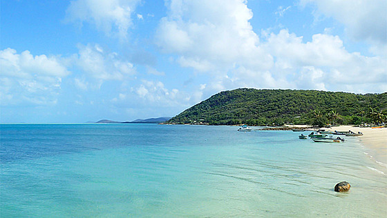 Thursday Island. Lep zatek ivota v Austrlii jsem si nemohl pedstavit,...