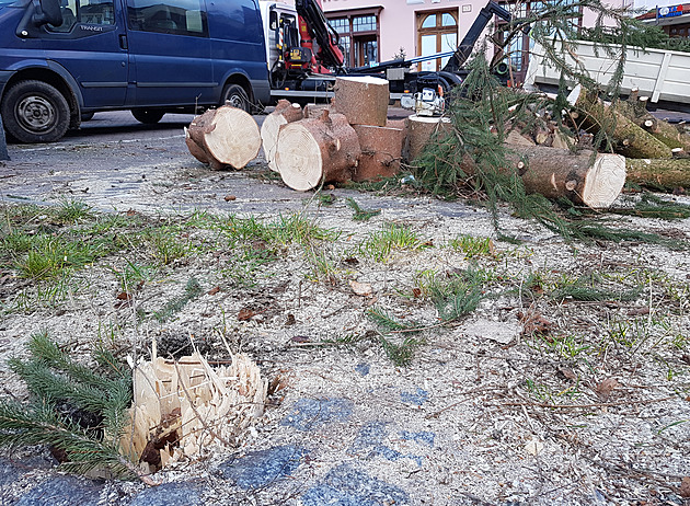 Vítr zlomil vánoční strom v Litvínově. Radnice možná nestihne sehnat nový