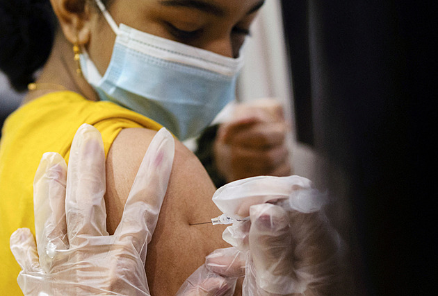 Kde zjistíte, jaká máte očkování? Když ztratíte očkovací průkaz, jde to těžko