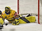 Utkání 31. kola hokejové extraligy: PSG Berani Zlín - HC Verva Litvínov. Zleva...