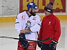 Zleva Milan Gula a asistent trenéra Martin Straka na tréninku eské hokejové...