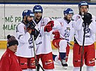 Zleva Milan Gula, Michael Frolík a Jan Ková na tréninku eské hokejové...