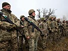 lenové ukrajinské domobrany nastoupili k vojenskému cviení u Charkova na...
