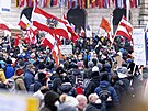 Demonstrace proti koronavirovým opatením ve Vídni (11. prosince 2021)