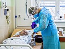 Zdravotní sestra peuje o pacienta s covid-19 ve Fakultní nemocnici Brno...