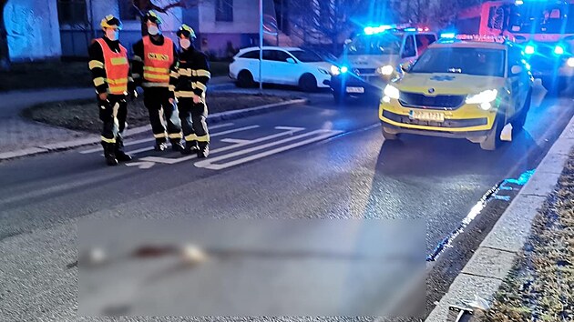 Auto v Plzni srazilo enu na pechodu. (18. prosince 2021)