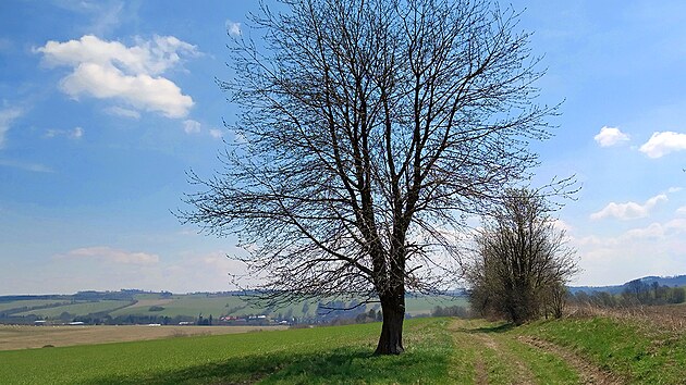 Typick krajina Nzkho Jesenku: zvlnn s bezlesmi nvrmi a dalekmi vhledy. Snmek je z cesty spojujc obec Huzov s hradem Sovincem.