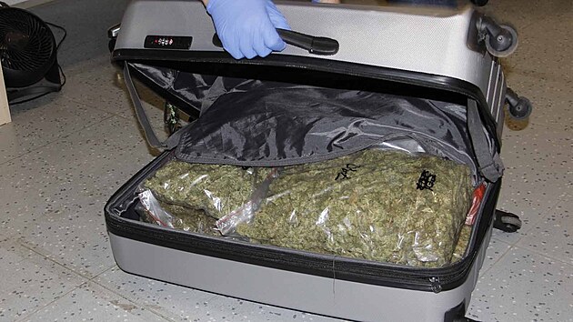 Policist zajistili tm est kilogram marihuany. Droga byla napchovan v kufru uloenm na ndra a dal suina se nala u podezelho doma. Byly j dva kbelky. 