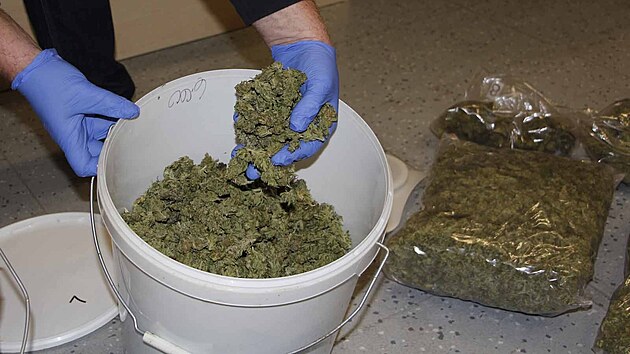 Policist zajistili tm est kilogram marihuany. Droga byla napchovan v kufru uloenm na ndra a dal suina se nala u podezelho doma. Byly j dva kbelky. 