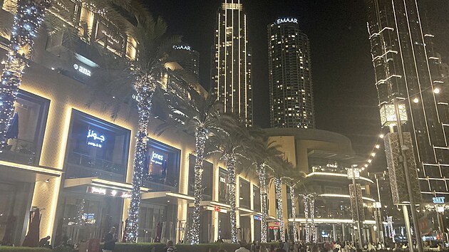Veer z mrakodrapy i palmy u nkupnho centra Dubai Mall.