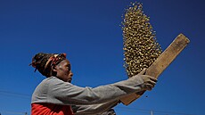 Trh s obilninami v Addis Abebě (30. listopadu 2021)
