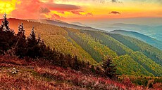 Nejsiln�j�í zá�itky byly ranní slune�ní paprsky, dal�í se pak nacházely v zón�...