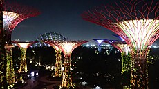 Viktora Kravjanského uchvátil Singapur svojí moderností a mnostvím zelen.