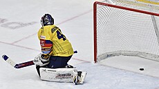 Utkání 31. kola hokejové extraligy: HC Ocelái Tinec - Motor eské Budjovice....