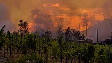 Kalifornské poáry mají nepíznivý dopad i na tamní vinice. (27. záí 2020)
