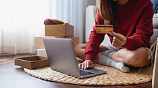 Velká �ást plateb se dnes odehrává na internetu.