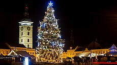 Váno�ní strom z �eských Bud�jovic v Bud�jovicích.