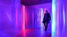 V olomoucké Telegraph Gallery se nyní koná neobvyklá výstava Pavla Korbi�ky,...