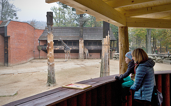 U pítí rok zane v liberecké zoo rekonstrukce pavilonu a venkovního výbhu...