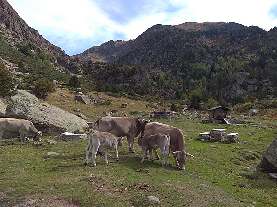 Andorra nabz ndhernou horskou produ.
