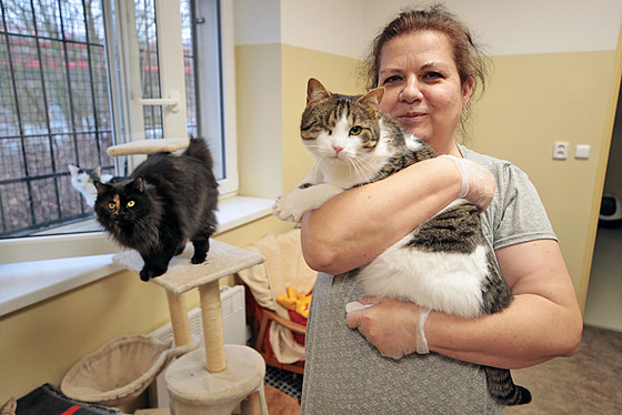 Anna Křehlíková už deset let pečuje o opuštěné a nemocné kočky.