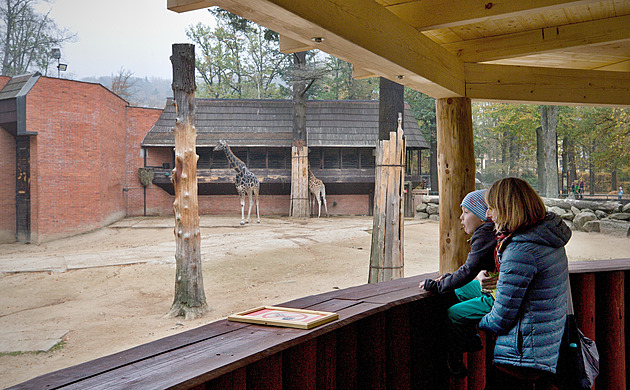 Už příští rok začne v liberecké zoo rekonstrukce pavilonu a venkovního výběhu...