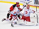 Utkání 36. kola hokejové extraligy: Mountfield Hradec Králové - HC Ocelái...