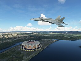 Microsoft Flight Simulator