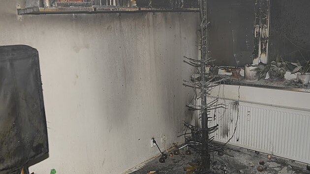 Prat hasii zasahovali v byt na Smchov, kde zaal hoet stromek (24. prosince 2021)