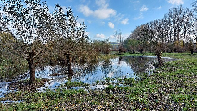 V Uherském Brodě obnovují rybníky a tůně.