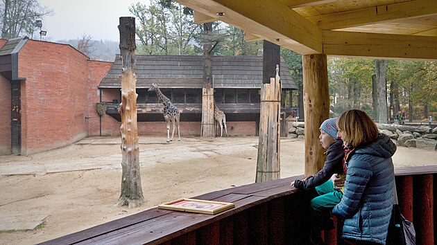 Už příští rok začne v liberecké zoo rekonstrukce pavilonu a venkovního výběhu pro žirafy. Hlavní práce jsou naplánované na léto, kdy mohou být zvířata venku.