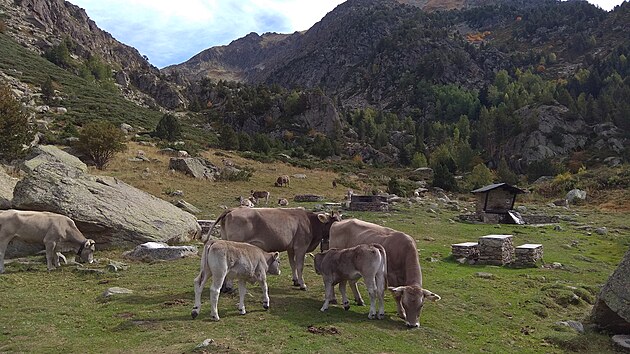 Andorra nabz ndhernou horskou produ.