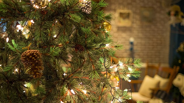 Česrtvý vánoční stromeček (ideálně ve stojanu, do něhož doplňujete vodu) vás do určité míry ochrání před šířením respiračních infekcí, protože silice z čerstvého jehličí se přirozeně uvolňují do vzduchu. 