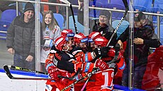 Utkání 36. kola hokejové extraligy: Mountfield Hradec Králové - HC Oceláři...