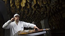 ichai unky z Andalusie mají ped Vánoci plné ruce práce.