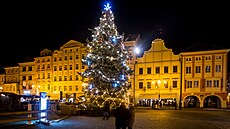 Vánoní strom zdobí námstí Pemysla Otakara II. v eských Budjovicích.
