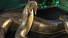 Model z dílny Smithsonian Institution zachytil hada pi jídle.