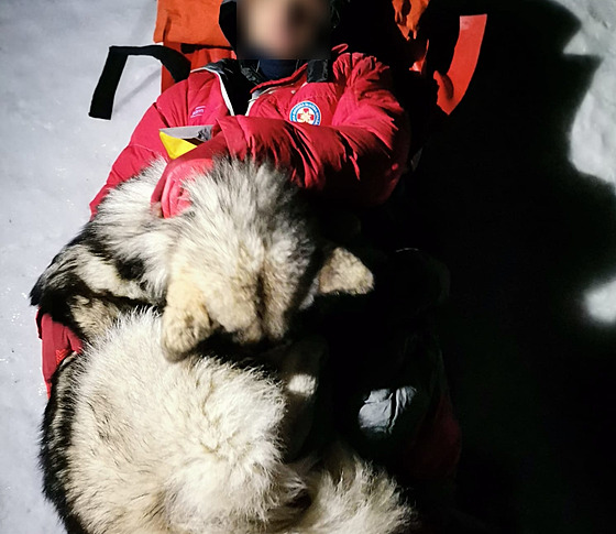 Pes chránil po celých 13 hodin vlastním tlem ped mrazem horolezce, který se...