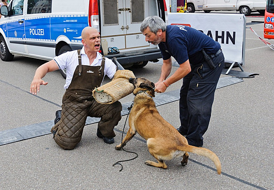Nmecká policie ukazuje výcvik speciálního psa. (29. íjna 2012)