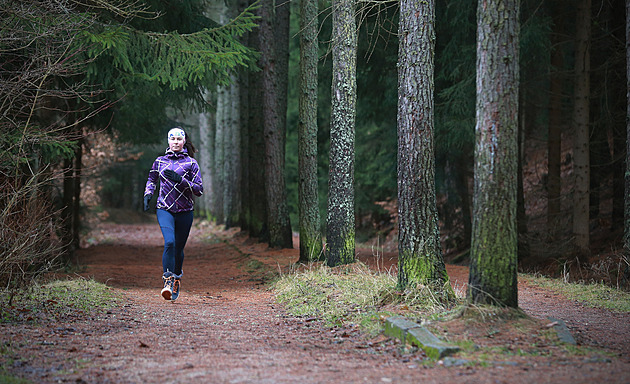 Srn�í d�l je jeden z nejv�t�ích p�írodních sportovních areál� v �esku.