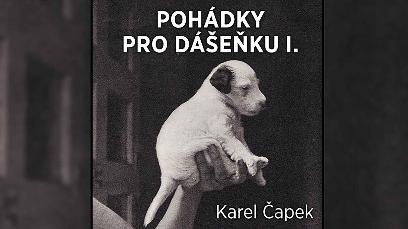 Pohádky pro psí hrdinku Dášeňku od Karla Čapka v audioknize zdarma -  iDNES.cz