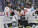 Hokejová extraliga, 39. kolo, Vítkovice - Sparta. Erik Thorell ze Sparty se...