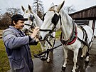 Redakci MFD pedvedl, jak se kon zapahaj.