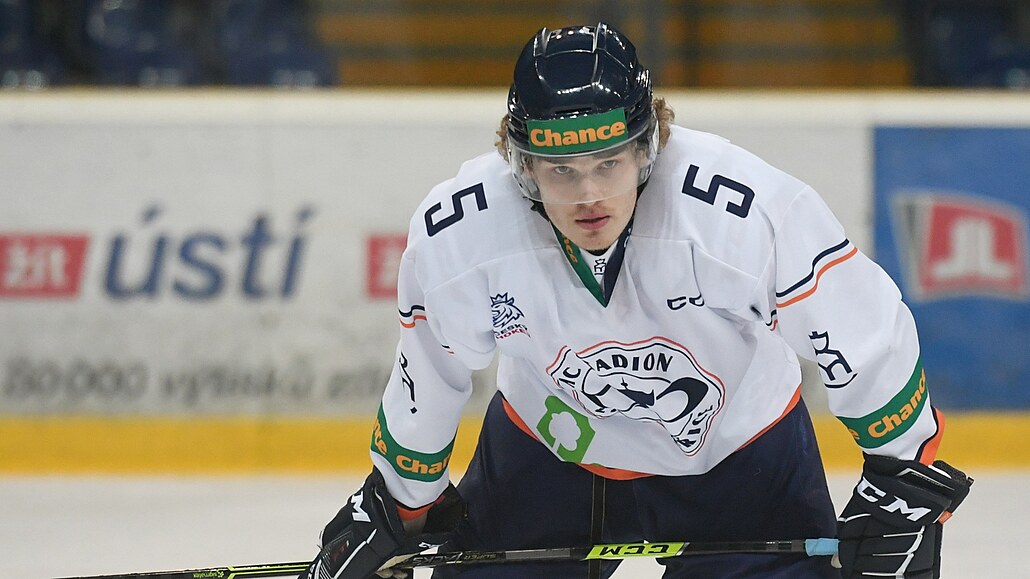 Riku Sihvonen v dresu Litom��ic